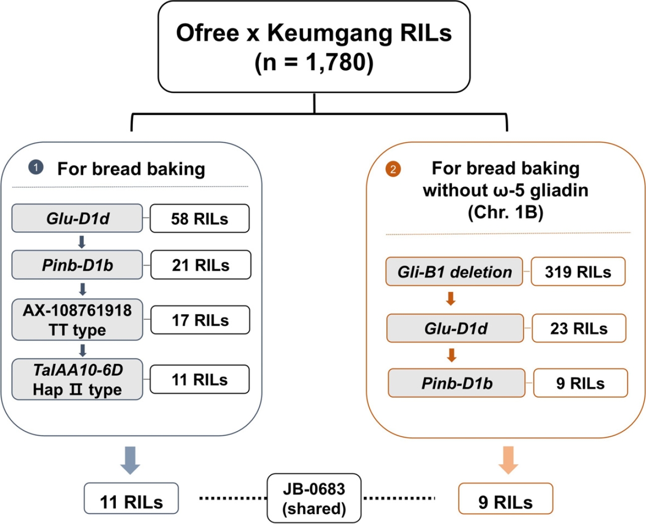 KJBS-2026-58-3-263f2.jpg