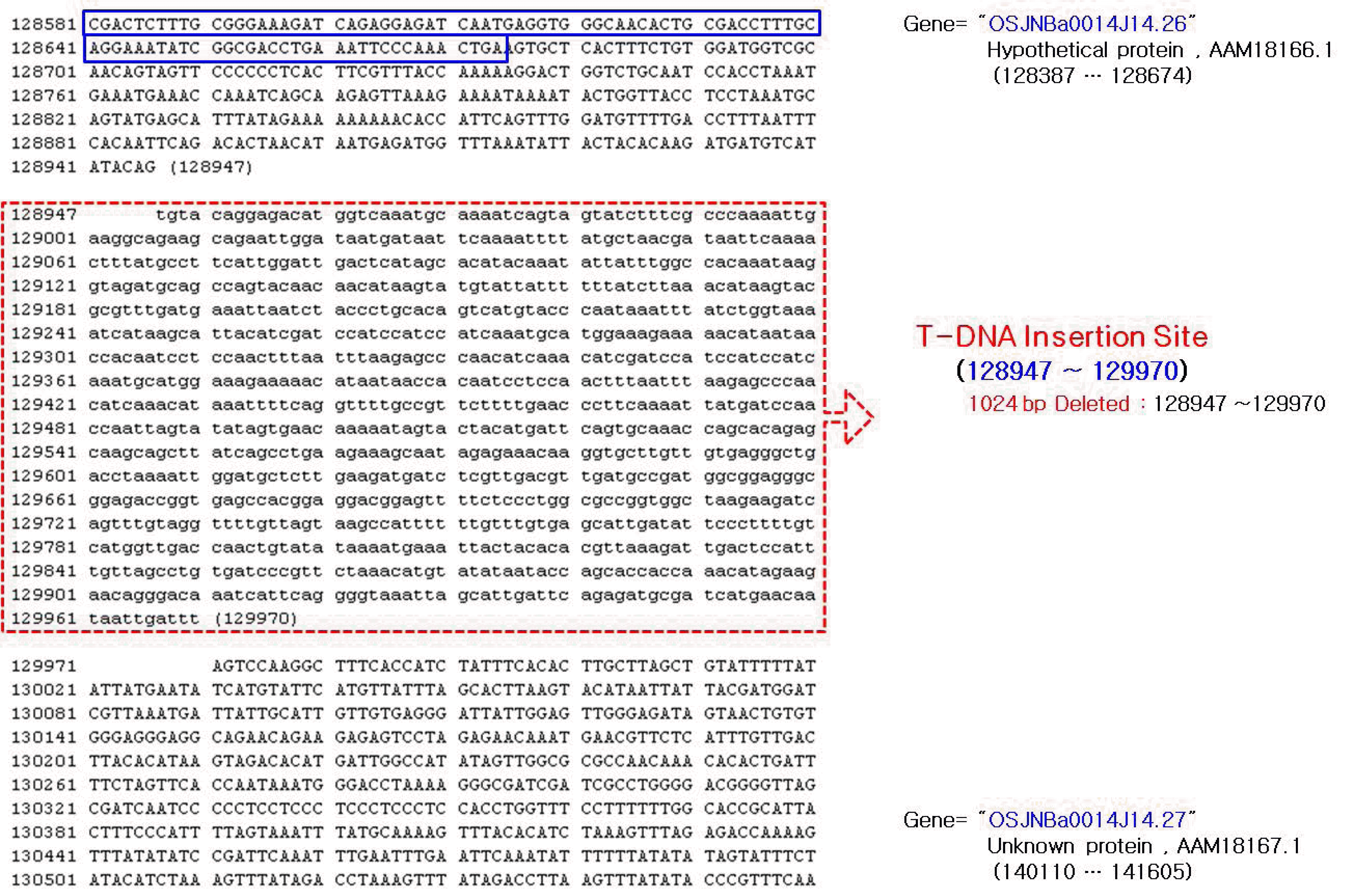KJBS-46-183_F5.gif