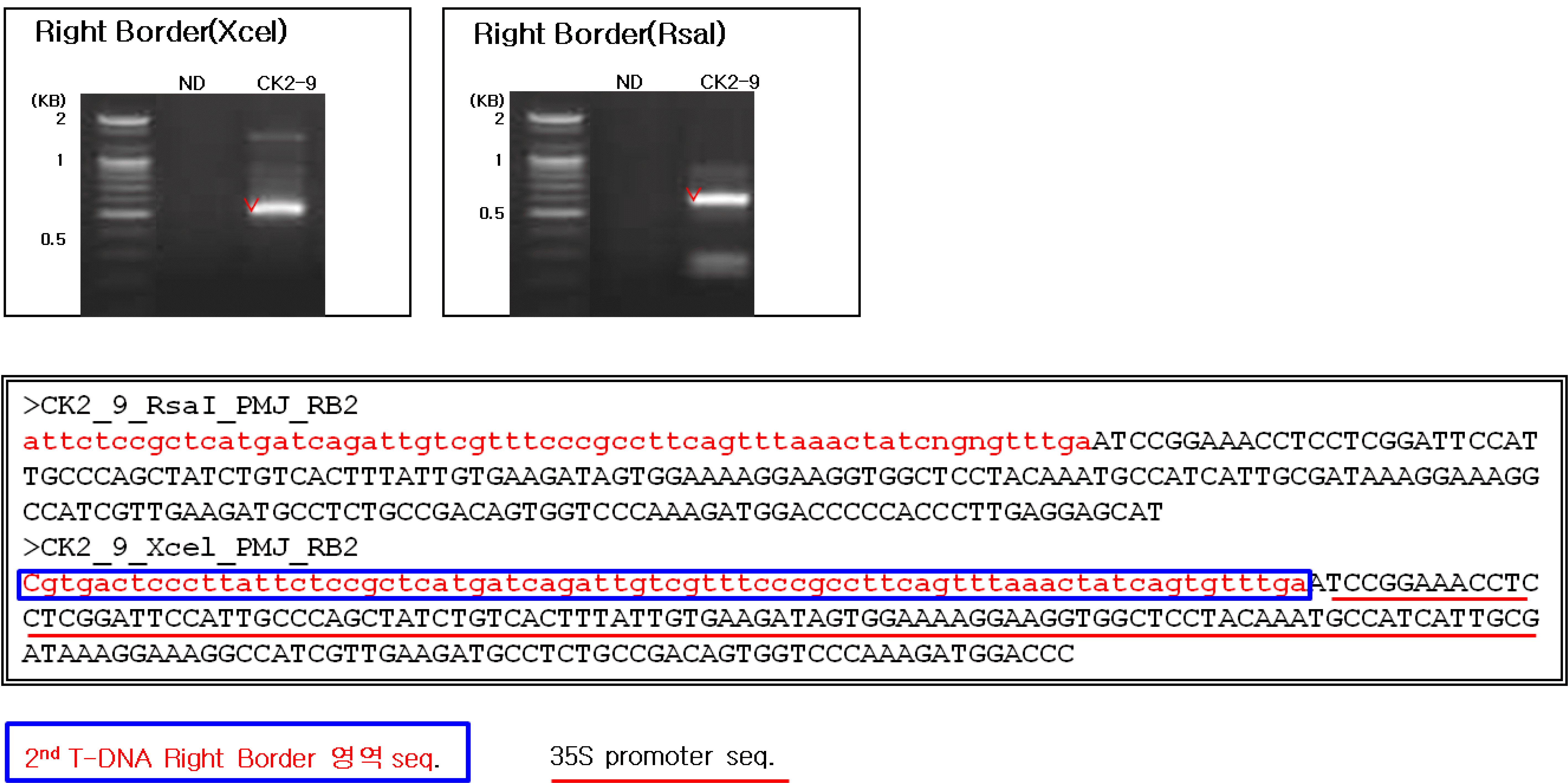 KJBS-46-183_F6.gif