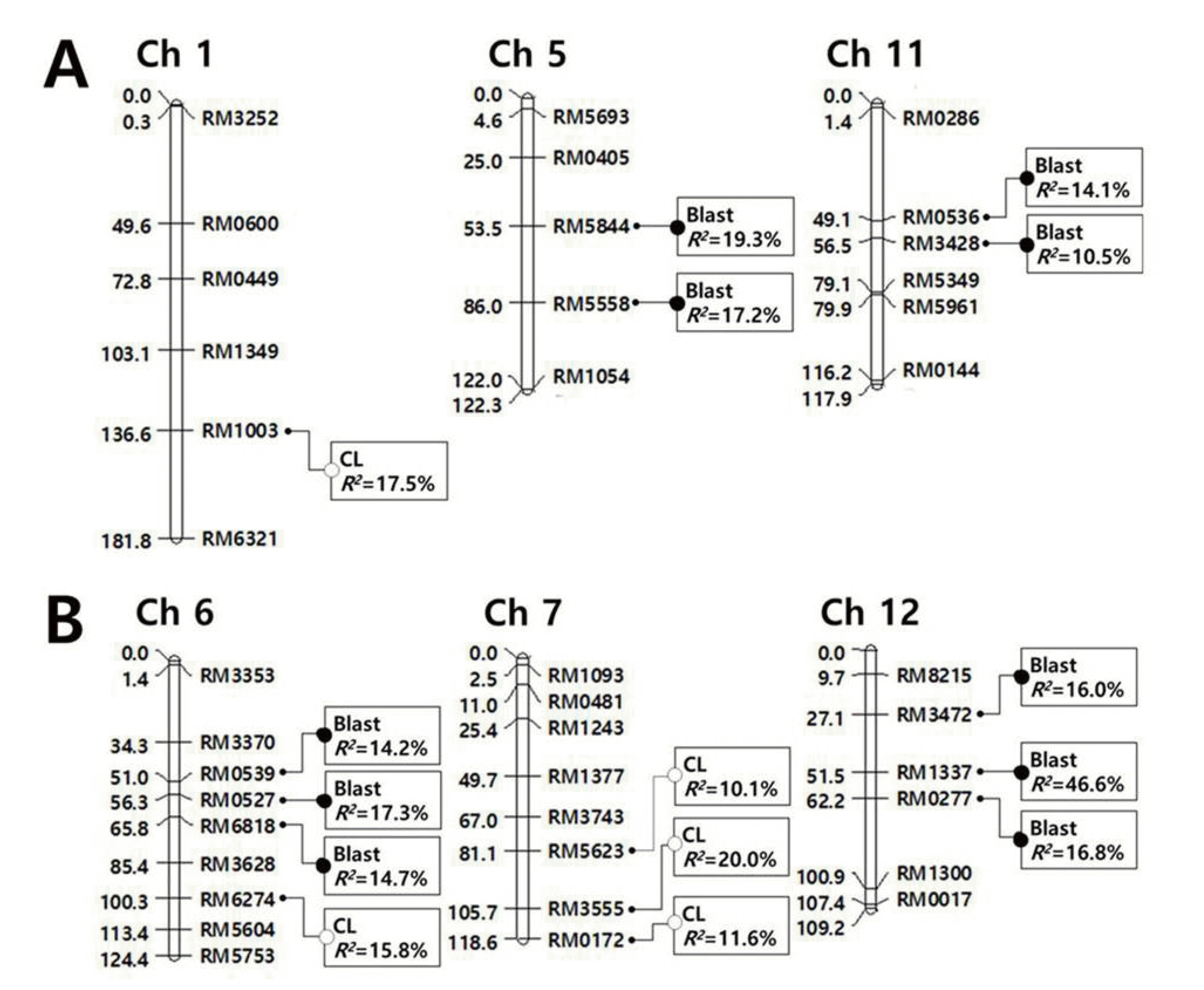 KJBS-46-238_F3.gif