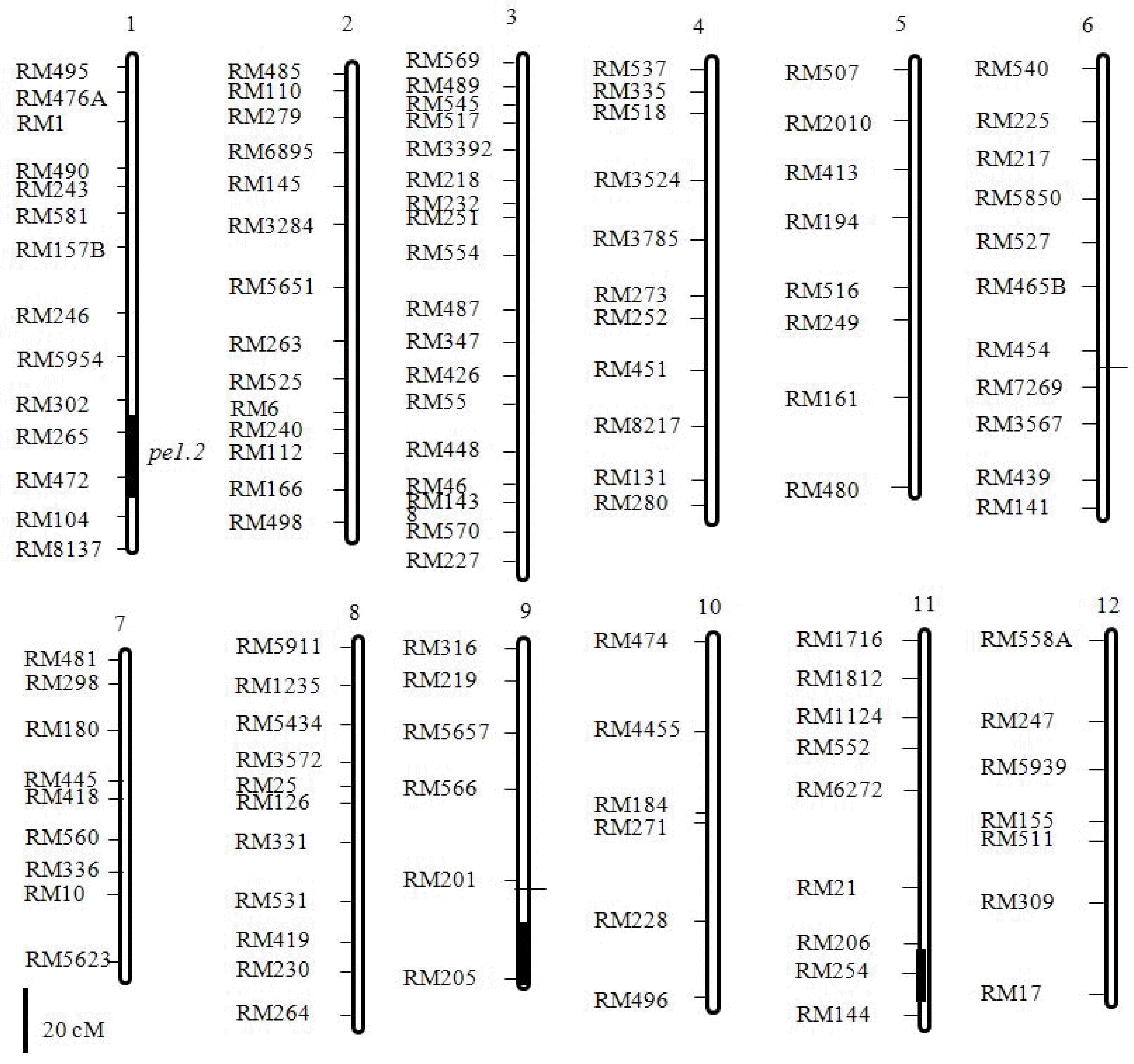 KJBS-46-313_F2.gif