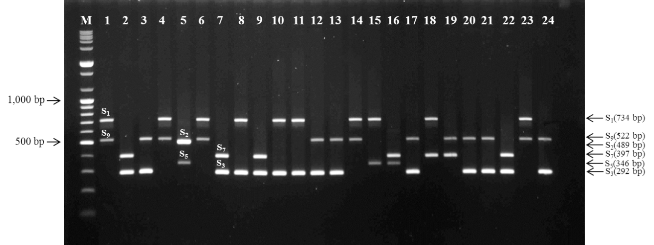 KJBS-46-364_F3.gif