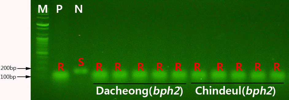 KJBS-46-481_F4.gif