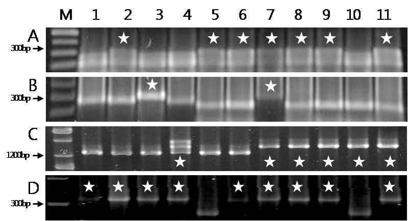 KJBS-47-118_F2.gif