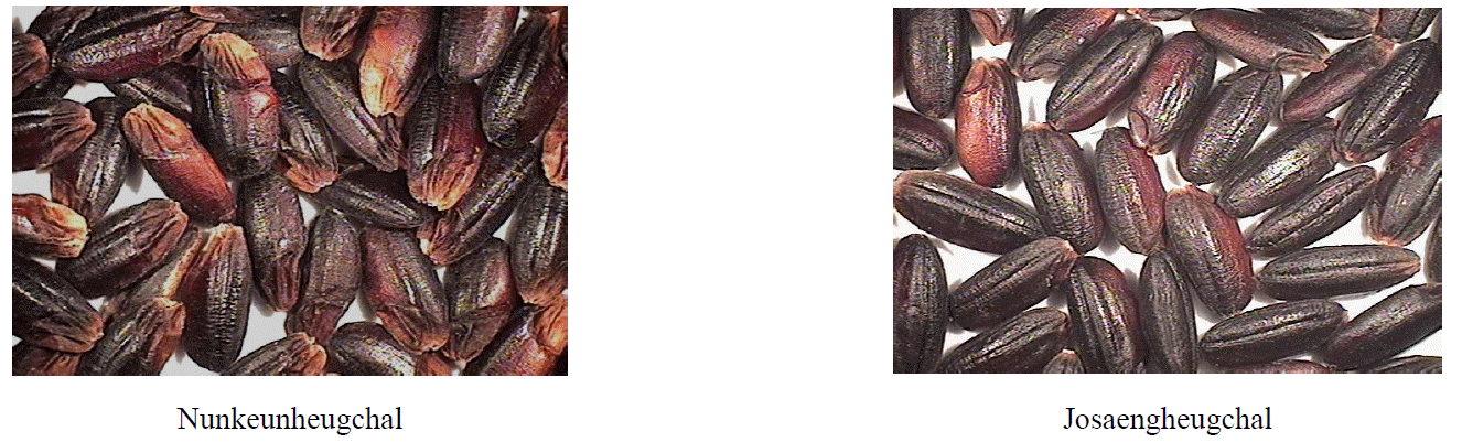 KJBS-47-68_F3.gif