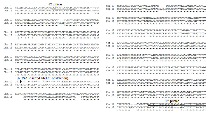 KJBS-48-2-119_F1.gif