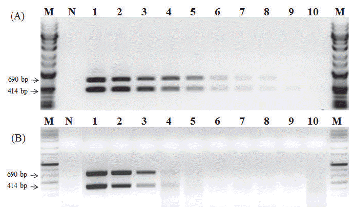 KJBS-48-2-119_F4.gif