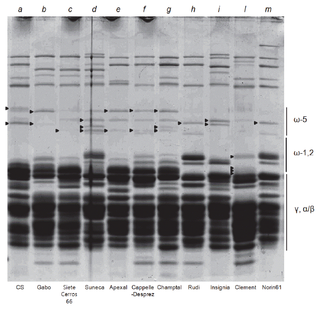 KJBS-48-2-159_F1.gif
