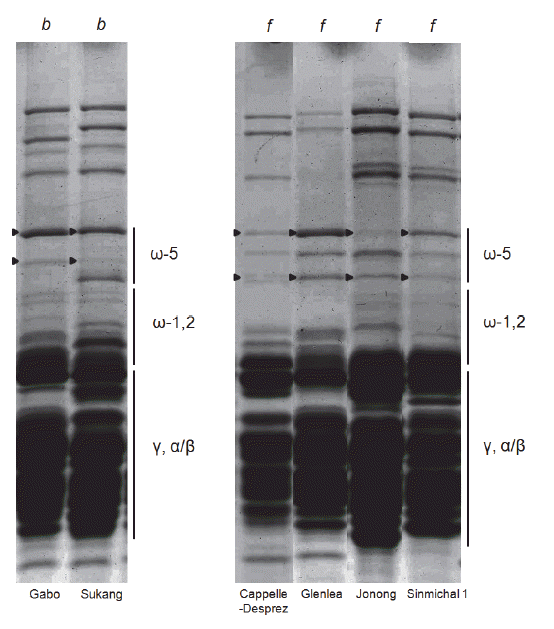 KJBS-48-2-159_F2.gif