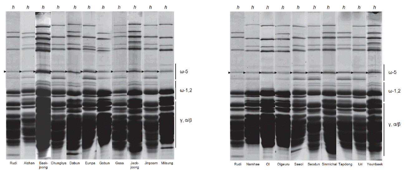 KJBS-48-2-159_F4.gif