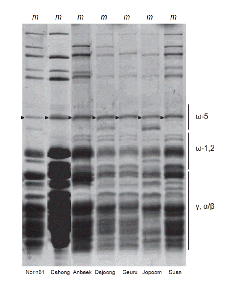 KJBS-48-2-159_F5.gif
