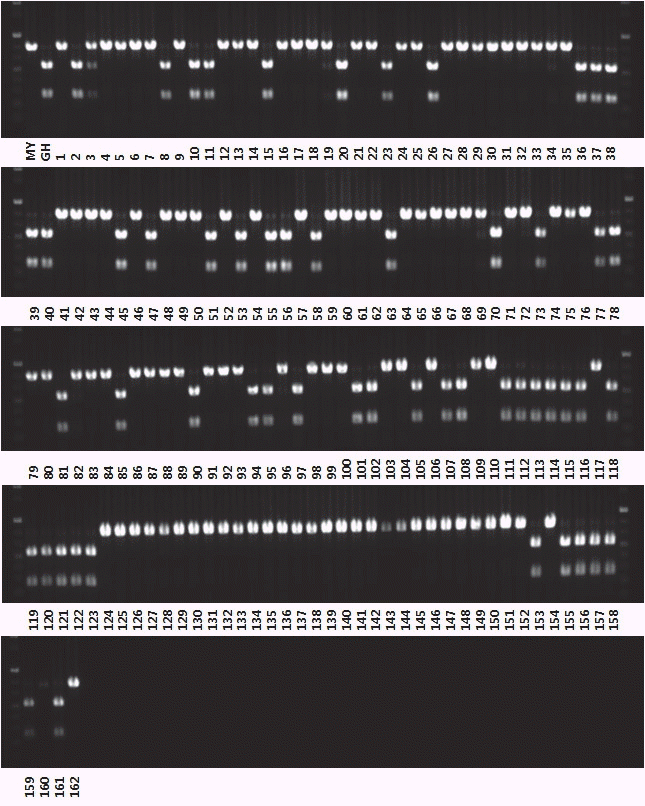 KJBS-48-3-217_F1.gif