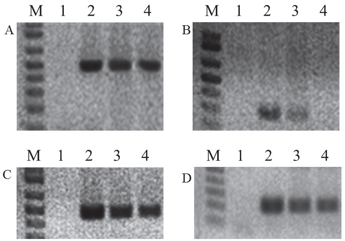 KJBS-48-3-332_F1.gif
