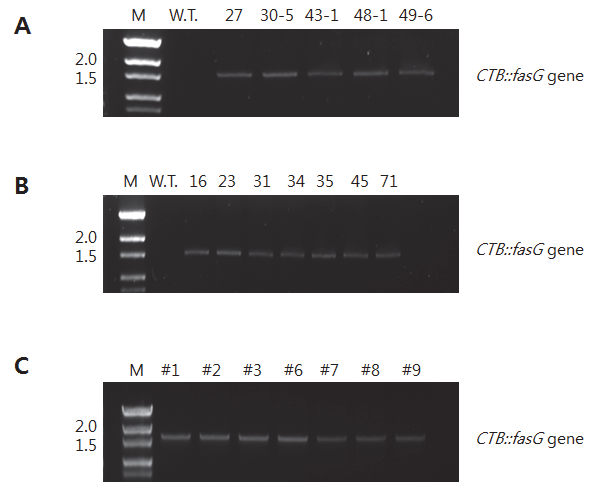 KJBS-48-4-435_F2.gif