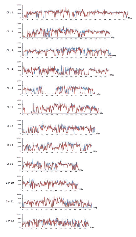 KJBS-48-4-460_F1.gif