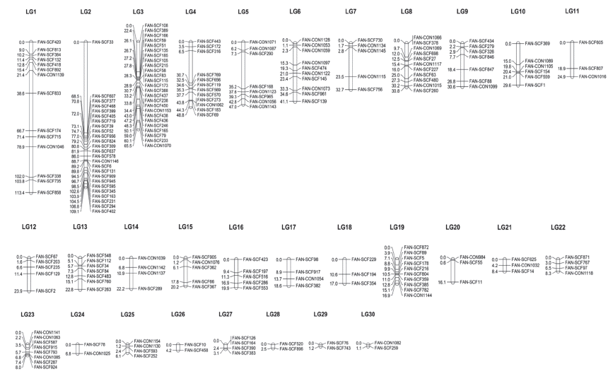 KJBS-49-119_F1.gif