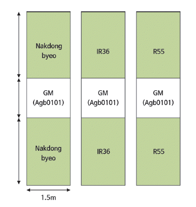 KJBS-49-180_F2.gif