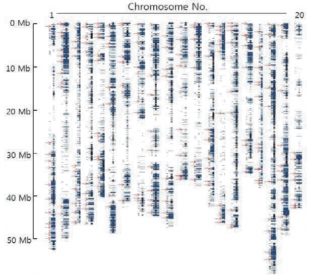 KJBS-49-213_F1.gif