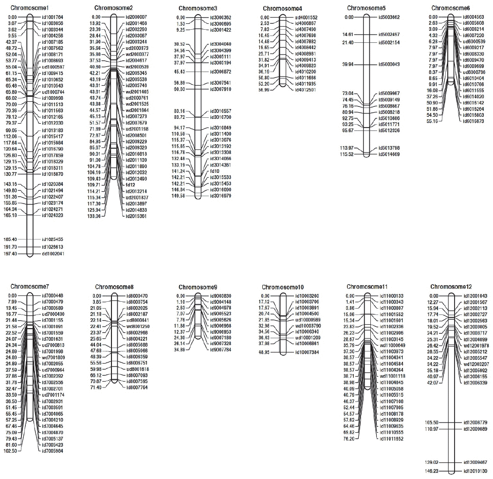 KJBS-49-334_F3.gif