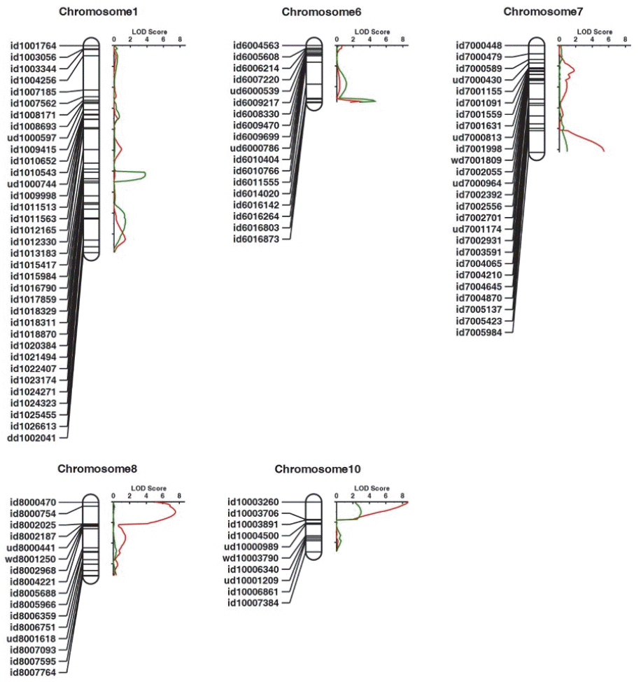 KJBS-49-334_F5.gif