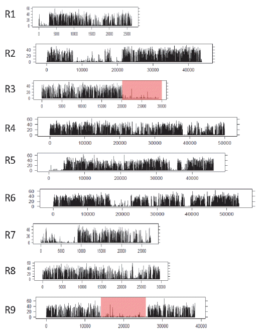 KJBS-49-351_F2.gif