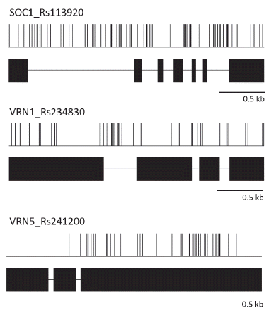 KJBS-49-351_F3.gif