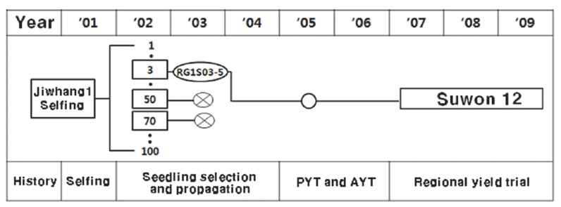 KJBS-49-36_F1.gif