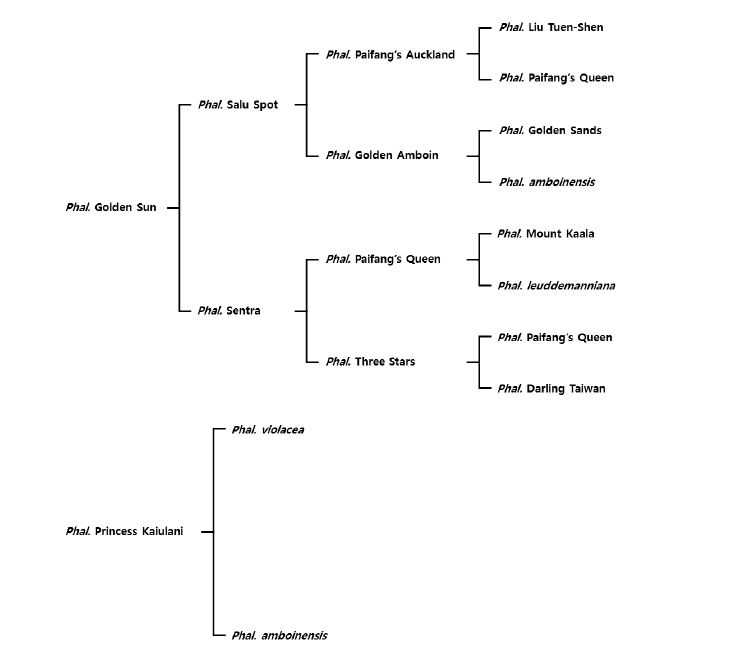 KJBS-50-65_F1.jpg
