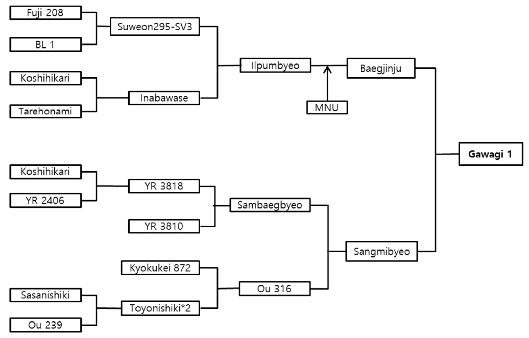 KJBS-51-537-f2.jpg
