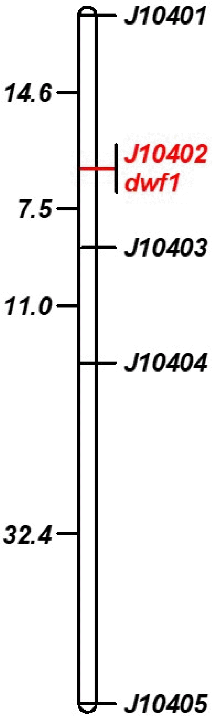 KJBS-52-009-f6.gif
