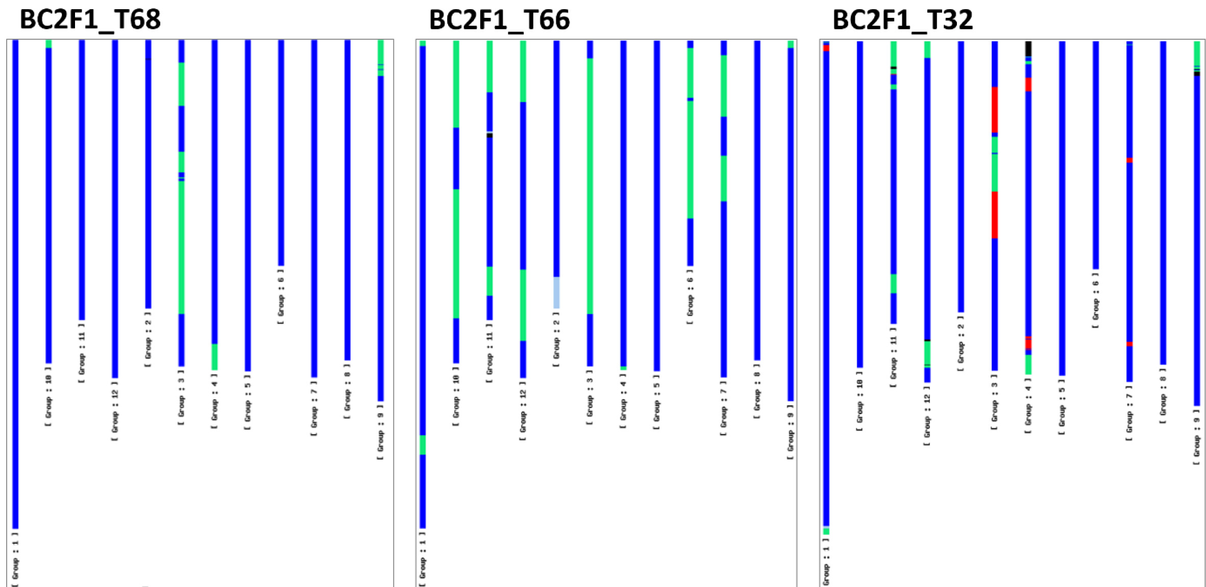 KJBS-52-374-f4.jpg