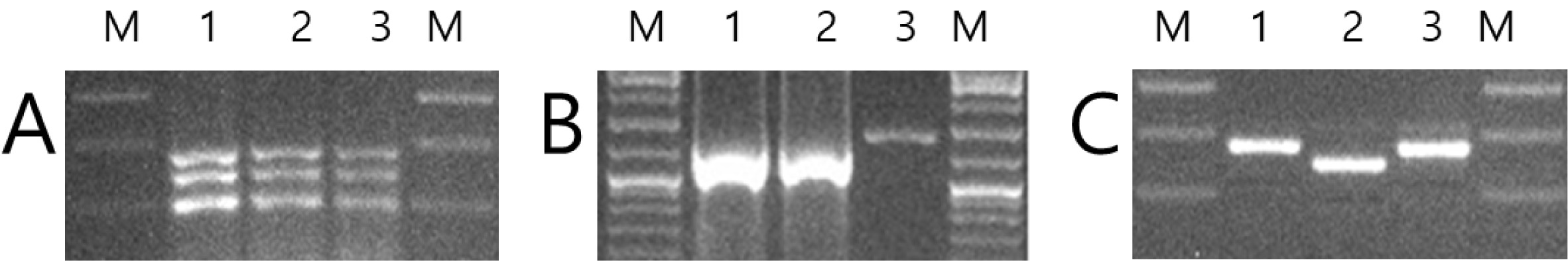 KJBS-52-473-f3.jpg