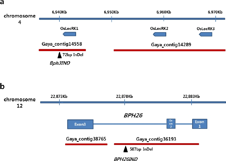 KJBS_50_104_fig_3.jpg