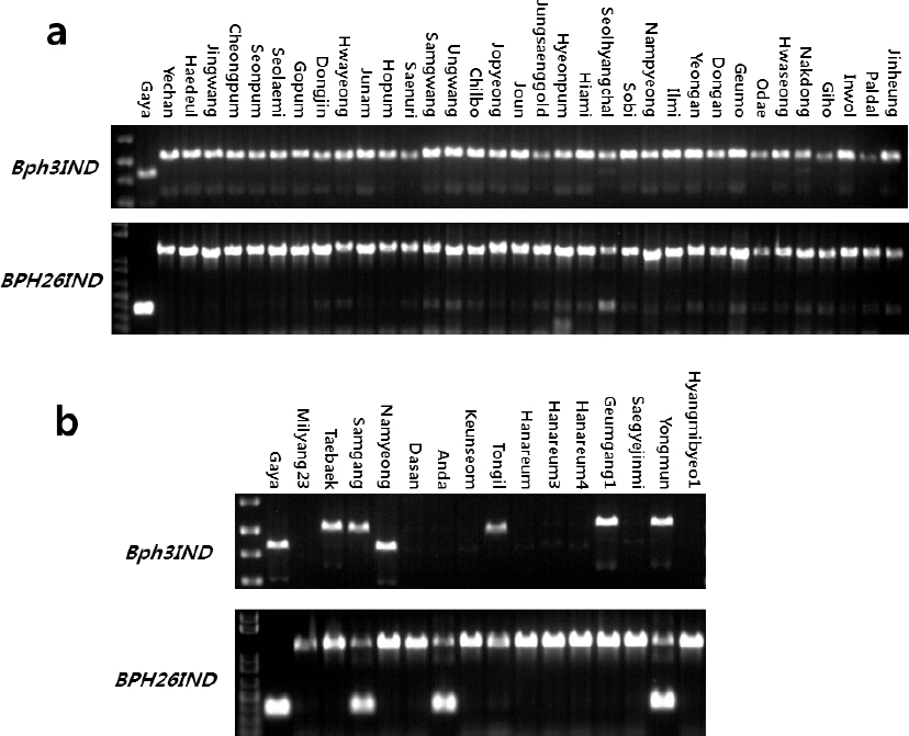 KJBS_50_104_fig_4.jpg