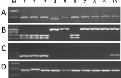 KJBS_50_116_fig_3.jpg