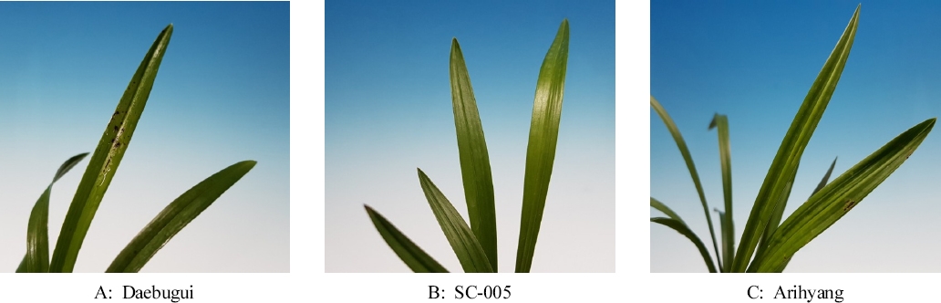 KJBS_50_177_fig_3.jpg