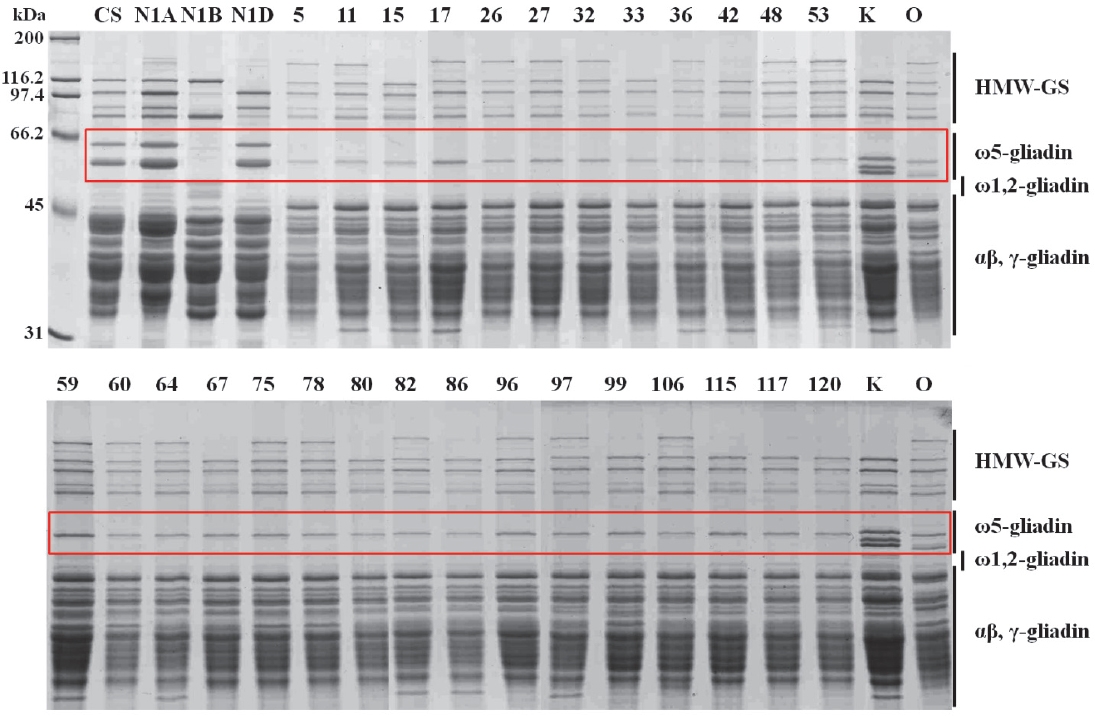 KJBS_50_181_fig_4.jpg
