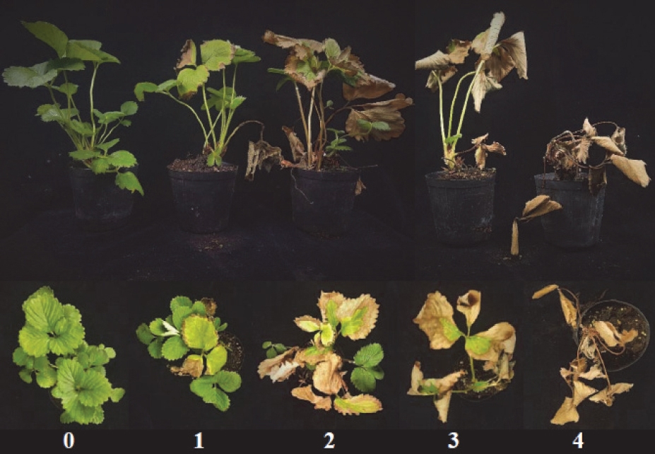 KJBS_50_203_fig_1.jpg