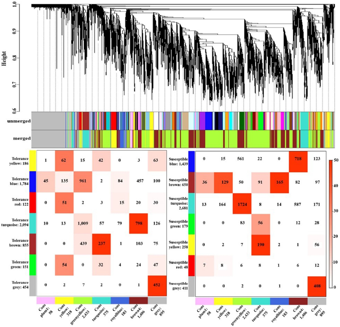 KJBS_50_224_fig_1.jpg