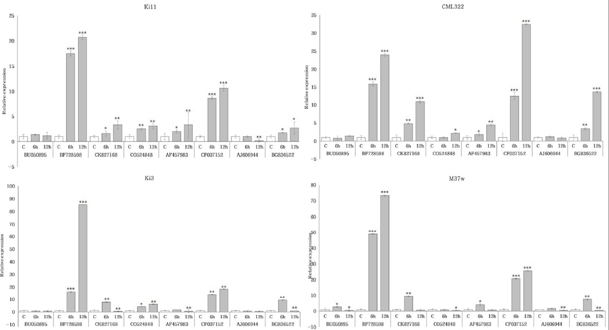 KJBS_50_224_fig_4.jpg