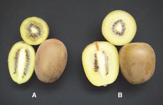 KJBS_50_245_fig_2.jpg