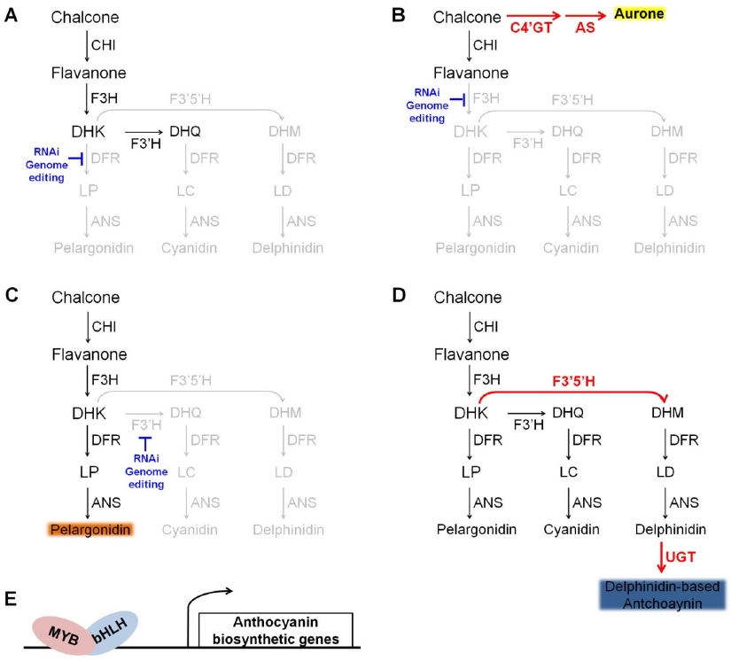KJBS_50_351_fig_3.jpg