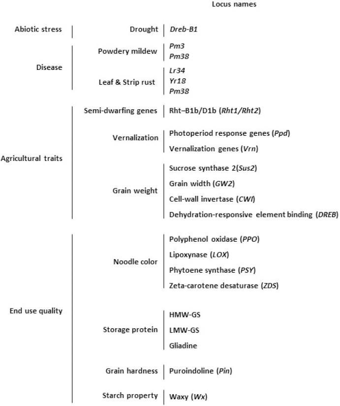KJBS_50_364_fig_3.jpg