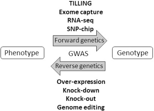 KJBS_50_364_fig_4.jpg