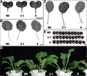 KJBS_50_378_fig_2.jpg