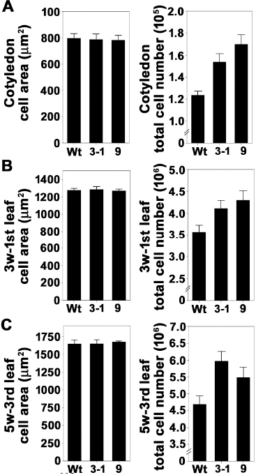 KJBS_50_378_fig_5.jpg