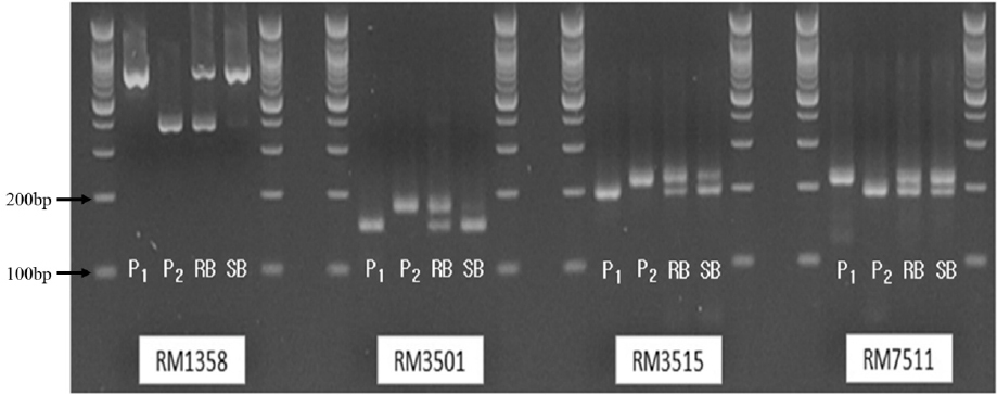 KJBS_50_387_fig_2.jpg