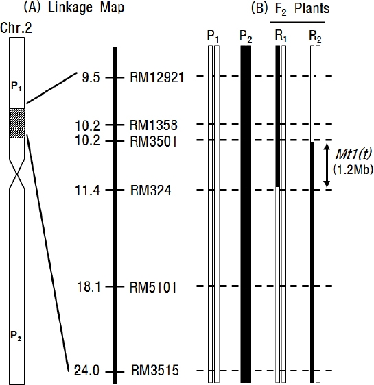 KJBS_50_387_fig_3.jpg