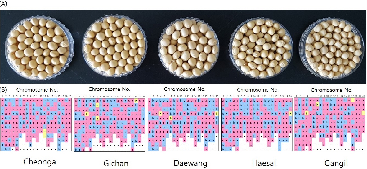 KJBS_50_396_fig_1.jpg