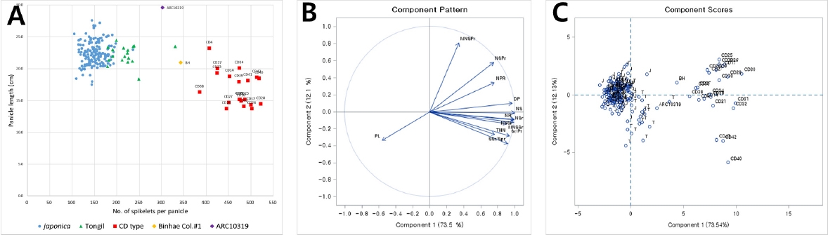 KJBS_50_415_fig_1.jpg